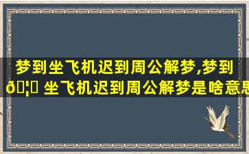 梦到坐飞机迟到周公解梦,梦到 🦁 坐飞机迟到周公解梦是啥意思